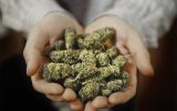 Ontraio Legalized Cannabis