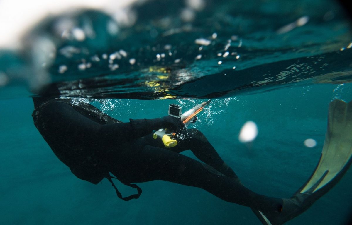 3 Top Spots To Try Spearfishing