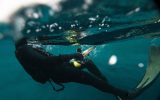 3 Top Spots To Try Spearfishing