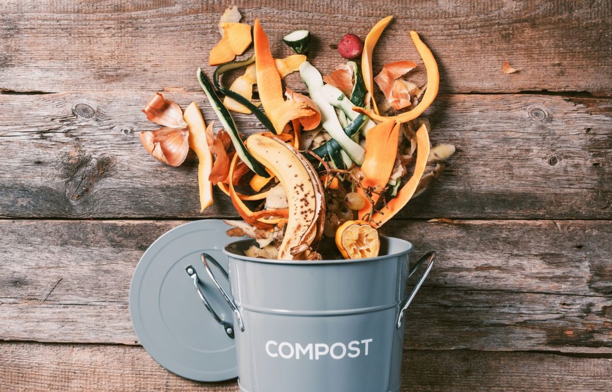 How To Start an Office Compost Bin