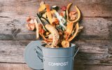 How To Start an Office Compost Bin