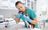 A Typical Day for a Veterinary Technician
