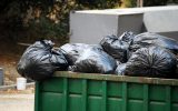 The Reasons Why Your Business Needs a Dumpster Rental