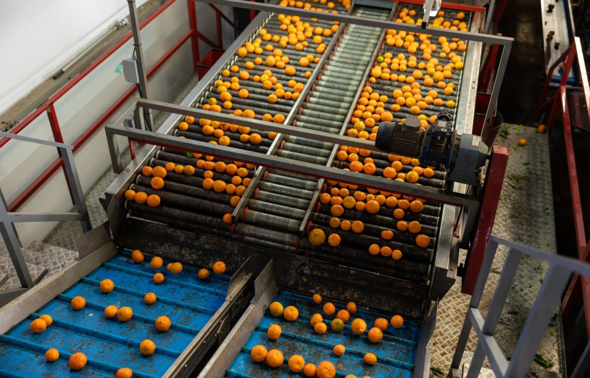 5 Steps To Clean and Sanitize a Food Processing Facility