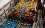 5 Steps To Clean and Sanitize a Food Processing Facility